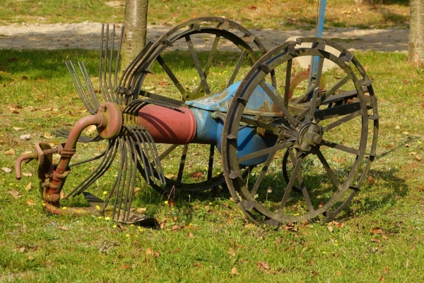 Zdjęcie z Polski - na Farmie....