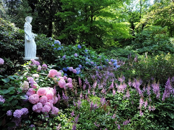 Zdjęcie z Niemiec - Monachium - Ogród Botaniczny