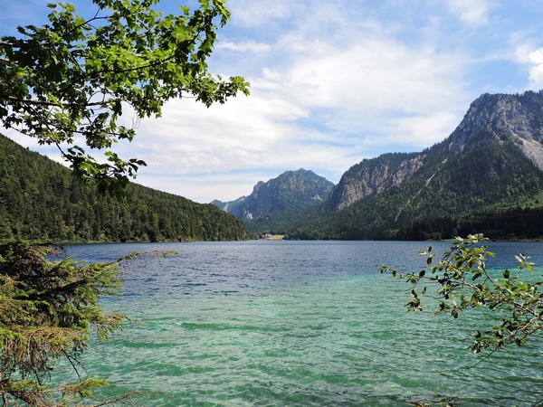 Zdjęcie z Niemiec - Neuschwanstein - Alpsee