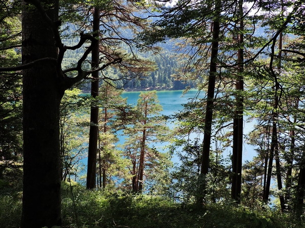 Zdjęcie z Niemiec - Alpsee - jezioro niedaleko zamku Neuschwanstein