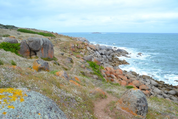 Zdjęcie z Australii - Granitowa Wyspa kolo Victor Harbor