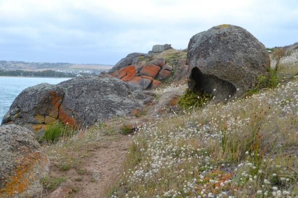 Zdjęcie z Australii - Granitowa Wyspa kolo Victor Harbor