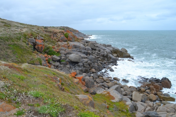 Zdjęcie z Australii - Granitowa Wyspa kolo Victor Harbor