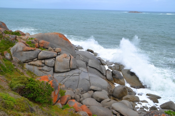 Zdjęcie z Australii - Granitowa Wyspa kolo Victor Harbor