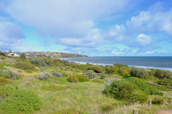 Zdjęcie z Australii - Rezerwat Geologiczny Hallett Cove