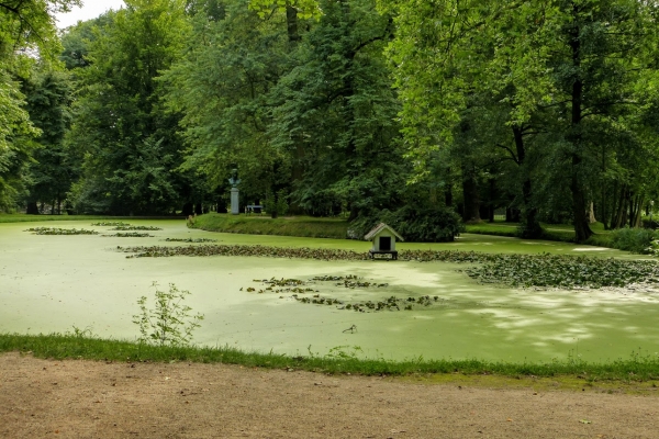 Zdjęcie z Niemiec - nad rzeczką....