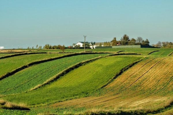 Zdjęcie z Polski - malownicze pola w okolicy wsi Sochy