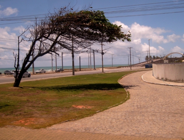 Zdjęcie z Brazylii - Maceió