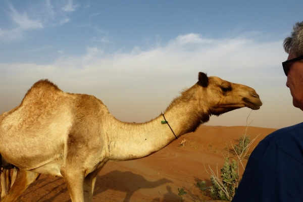 Zdjęcie z Zjednoczonych Emiratów Arabskich - człowiek i camel na pustyni Al rab al Khali