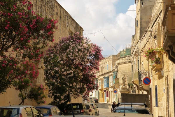 Zdjęcie z Malty - Rabat, i znów na świeżym powietrzu... 