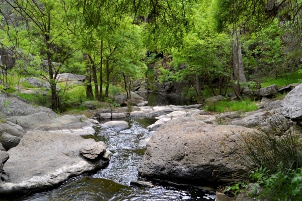 Zdjęcie z Australii - Rzeka Warri Parri czyli Sturt River