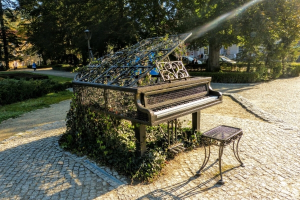 Zdjęcie z Polski - Ogród Muzyczny w kudowskim parku