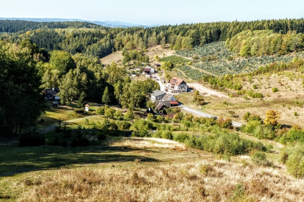 Zdjęcie z Polski - żmij nie spotkaliśmy, ale bardzo przyjemnie spędziliśmy tu dobre 2 godziny! 