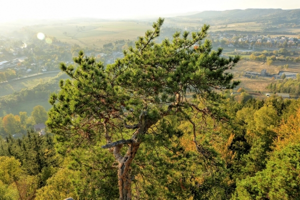 Zdjęcie z Polski - widoki ze szczytnickiej Platformy