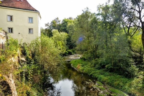 Zdjęcie z Polski - Biała Lądecka szumi sobie na tyłach zamku