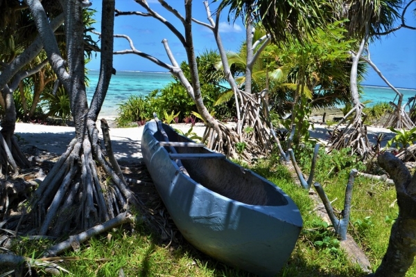 Zdjęcie z Vanuatu - Melanezyjska dlubanka. Brakuje bocznego plywaka