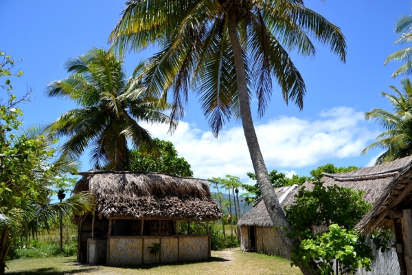 Zdjęcie z Vanuatu - Na tylach bazarku