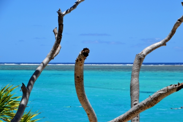 Zdjęcie z Vanuatu - 