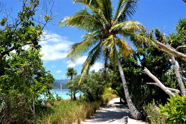 Zdjęcie z Vanuatu - Sciezka wokol wyspy Mystery Island