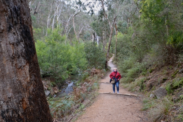 Zdjęcie z Australii - Na szlaku do wodospadu Silverbend Falls