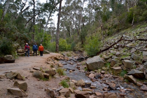 Zdjęcie z Australii - Na szlaku do wodospadu Silverbend Falls