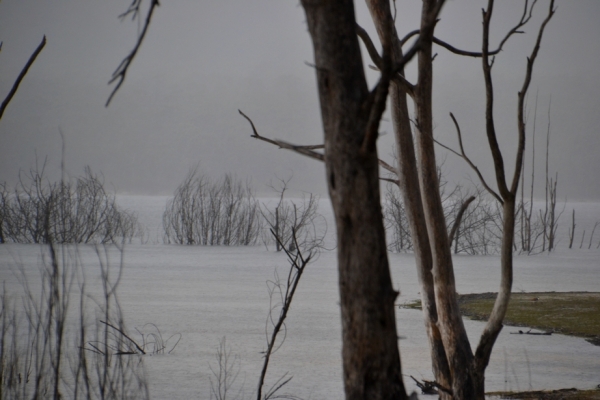 Zdjęcie z Australii - Jezioro Lake Bellfield w strugach deszczu