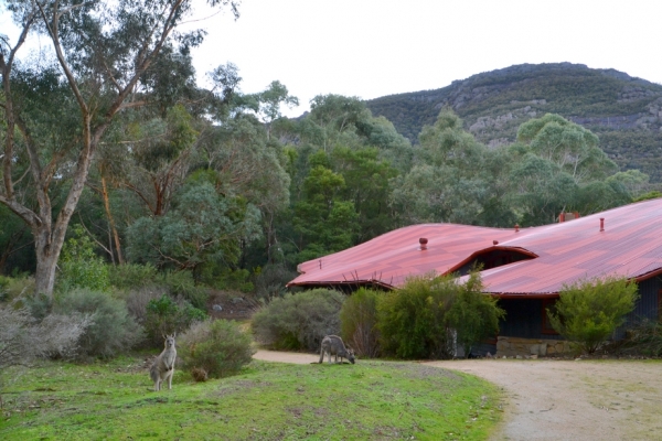 Zdjęcie z Australii - Brambuk - Centrum Kultury Aborygenskiej w Halls Gap