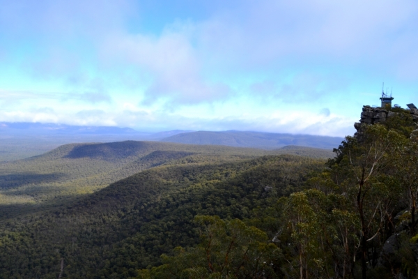 Zdjęcie z Australii - Widok z Reeds Lookout