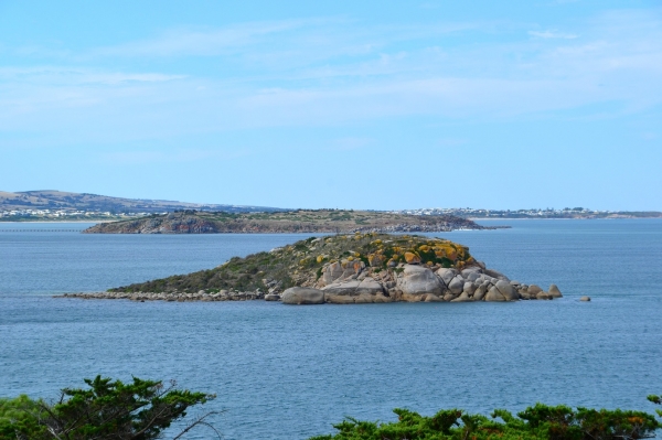 Zdjęcie z Australii - Wysepki miedzy Victor Harbor a The Bluff