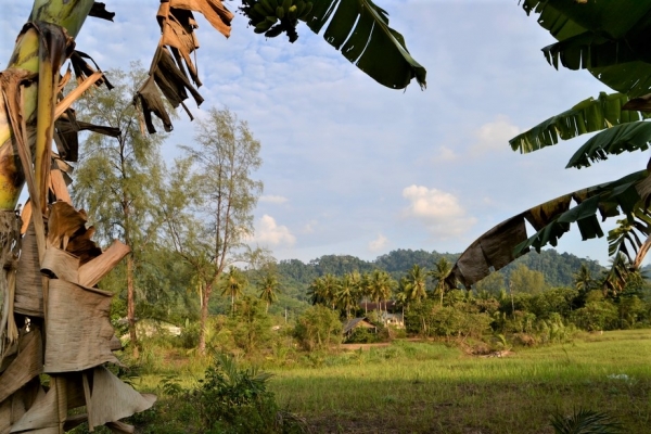 Zdjęcie z Tajlandii - Przedmiescia Khao Lak