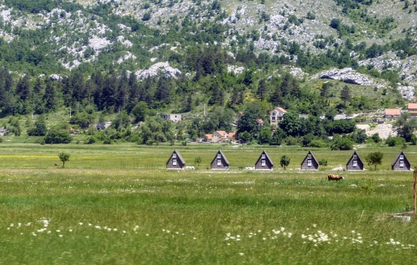 Zdjęcie z Czarnogóry - wiejskie klimaty maleńkiej sennej Njeguši