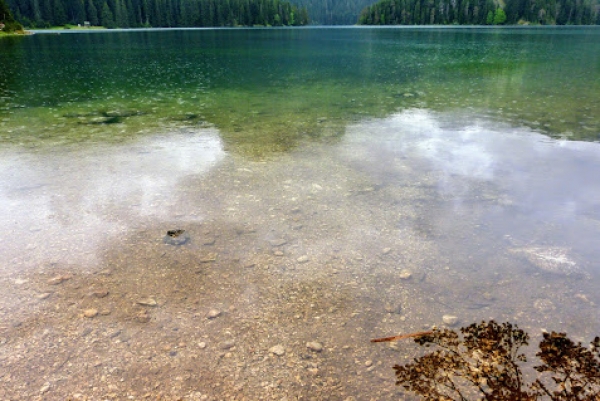 Zdjęcie z Czarnogóry - wody tego jeziora należą do bardzo czystych, widoczność podobno na 12 metrów głębokości