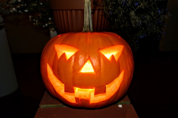 Zdjęcie z Polski - a tymczasem w moim ogrodzie..... Halloween czas zacząć :)