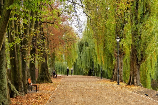 Zdjęcie z Polski - w Parku Miejskim nad Narwią