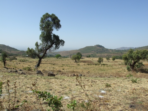 Zdjęcie z Etiopii - okoliczne widoki