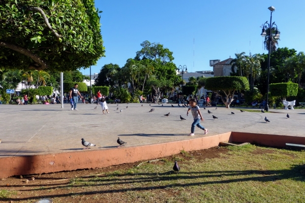 Zdjęcie z Meksyku - Merida - Plaza Grande, (Plaza Independentia) 