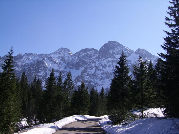 Zdjecie - Polska - Zakopane