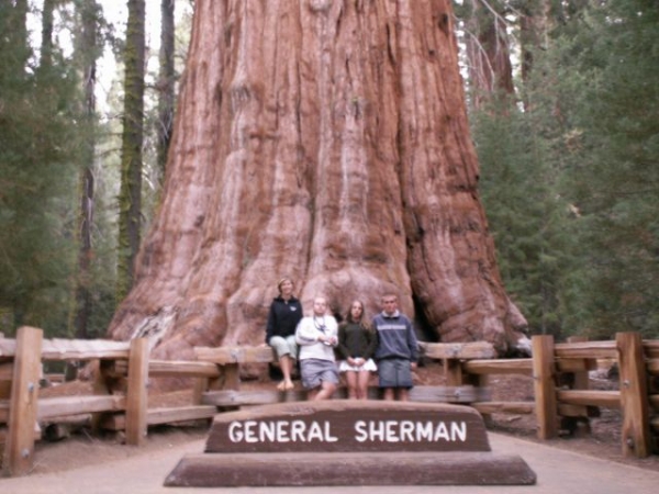 Zdjęcie ze Stanów Zjednoczonych - Sequoia NP