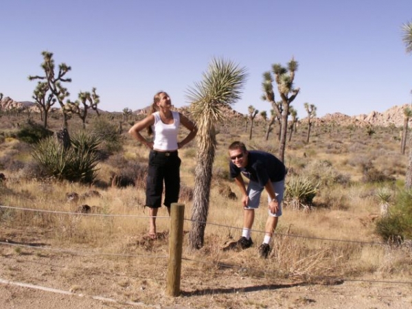 Zdjęcie ze Stanów Zjednoczonych - Joshua Tree NP