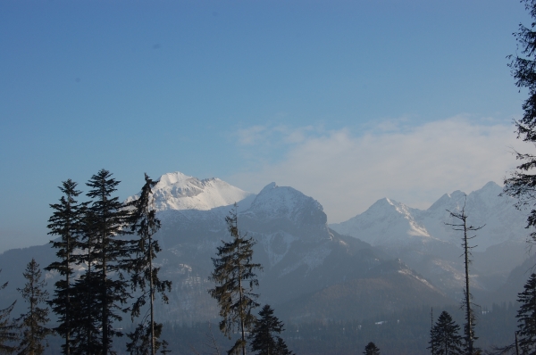 Zdjecie - Polska - ZAKOPANE