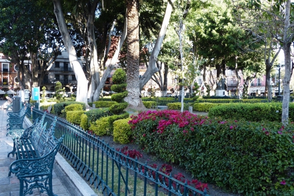 Zdjęcie z Meksyku - Plaza del Armas (Zocalo) o poranku...