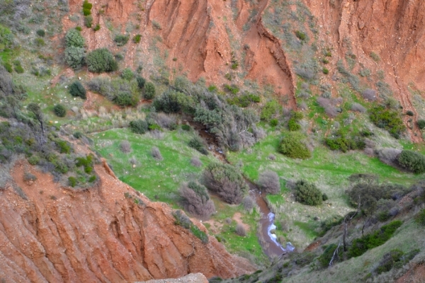 Zdjęcie z Australii - Plynacy dnem kanionu strumien Cactus Canyon Creek