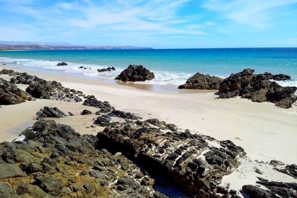 Zdjęcie z Australii - Carrackalinga Beach