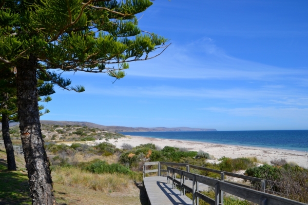 Zdjęcie z Australii - Normanville