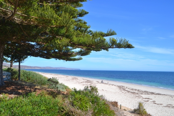 Zdjęcie z Australii - Plaza w Normanville