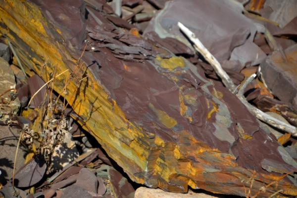 Zdjęcie z Australii - Kolorowy łupek skalny