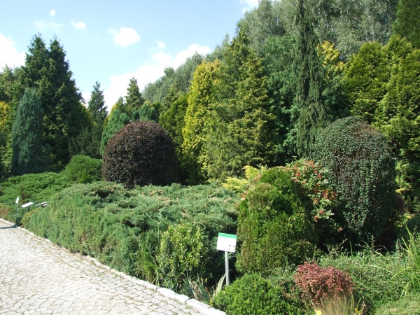 Zdjęcie z Polski - arboretum