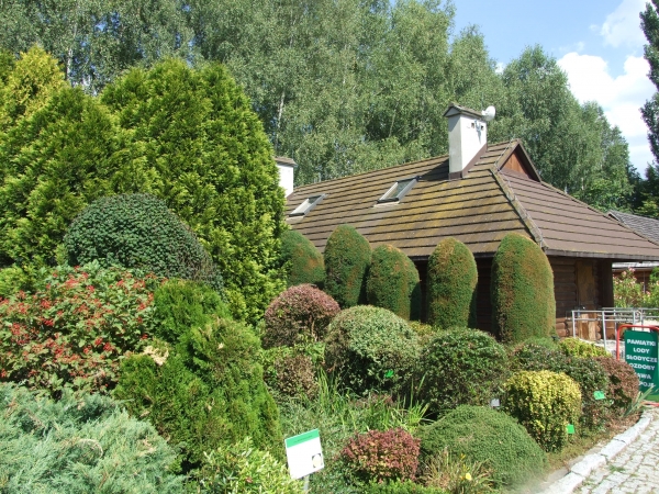 Zdjęcie z Polski - w arboretum