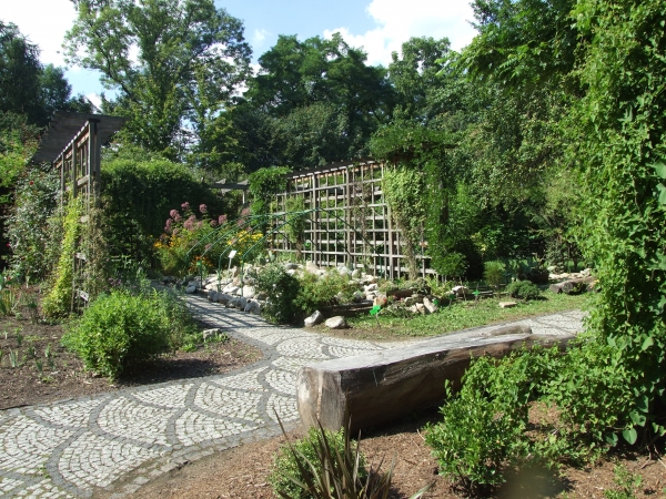 Zdjęcie z Polski - w arboretum