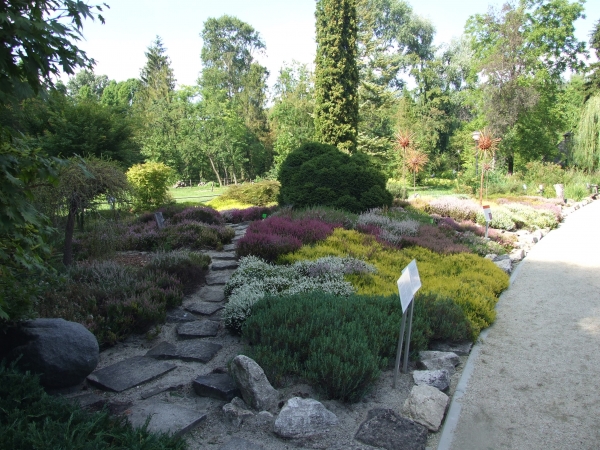 Zdjęcie z Polski - w arboretum